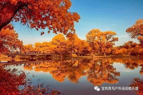 香港承认内地的执业医师证吗问答网站-快速获取你想知道的答案